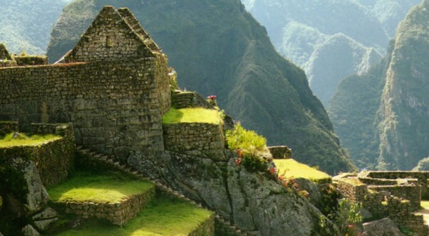 أجمل الغابات في العالم